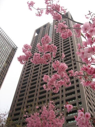 c0062511_21344710.jpg