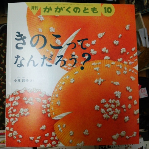f0030814_12231007.jpg