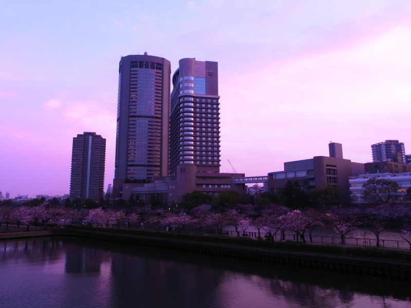 f0209122_19515144.jpg