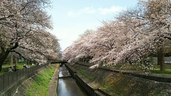 f0106823_19351351.jpg