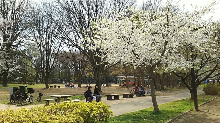 f0106823_19352613.jpg