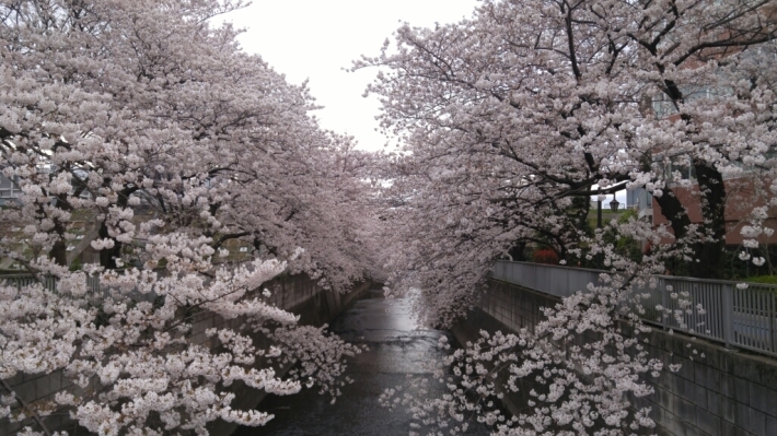 c0124528_11411690.jpg