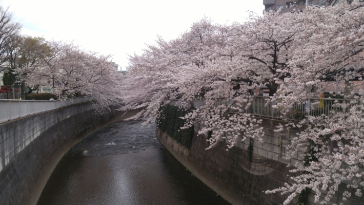 c0124528_11411987.jpg
