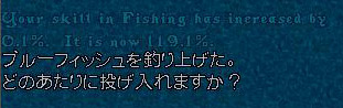 c0184233_1193240.jpg