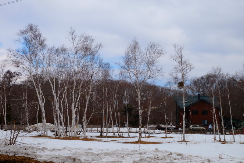 f0323833_12382940.jpg
