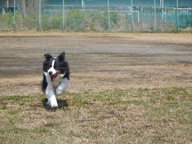 c0343734_00104643.jpg