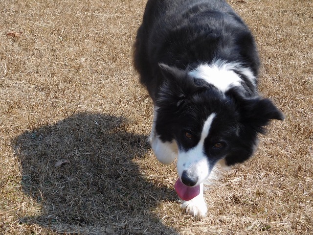 c0343734_00104866.jpg
