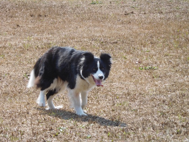 c0343734_00105153.jpg
