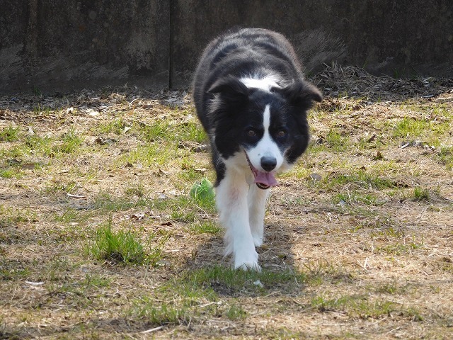 c0343734_00105615.jpg