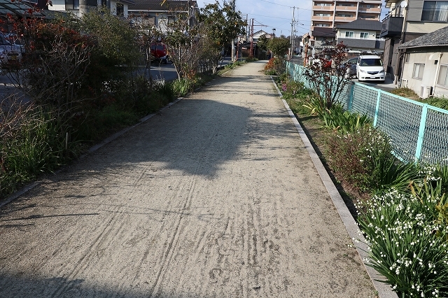 a0242438_19594803.jpg