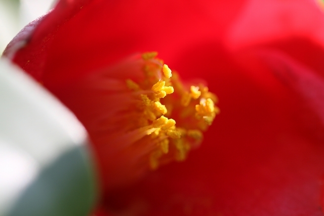 a0242438_20005928.jpg
