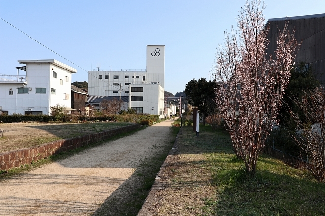 a0242438_20011197.jpg