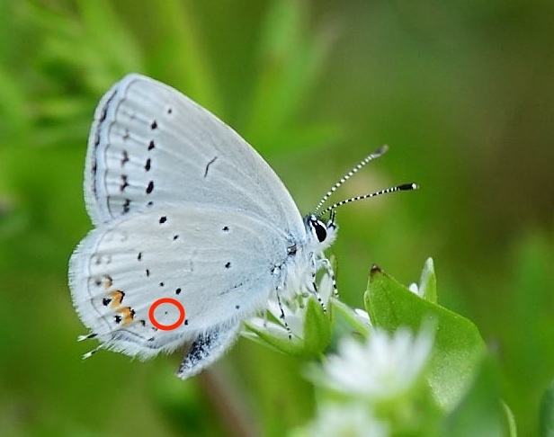 d0285540_12411030.jpg