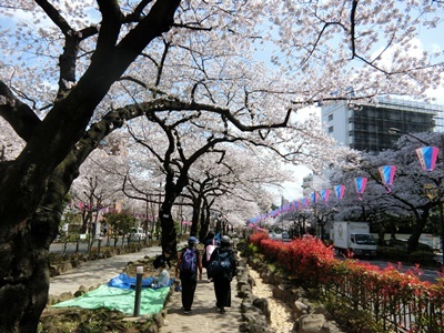 b0120541_12354159.jpg