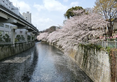 b0120541_12392627.jpg