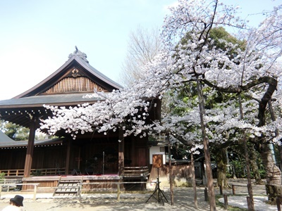 b0120541_12414452.jpg