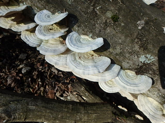 f0334143_726252.jpg