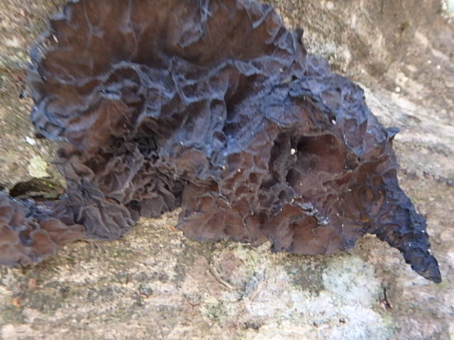 f0334143_729081.jpg