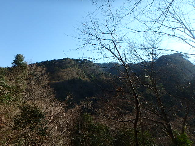 f0334143_7374879.jpg