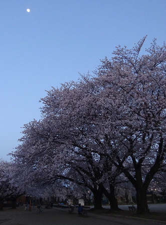 e0172950_2015651.jpg