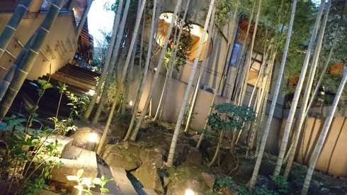 d0068151_10563273.jpg