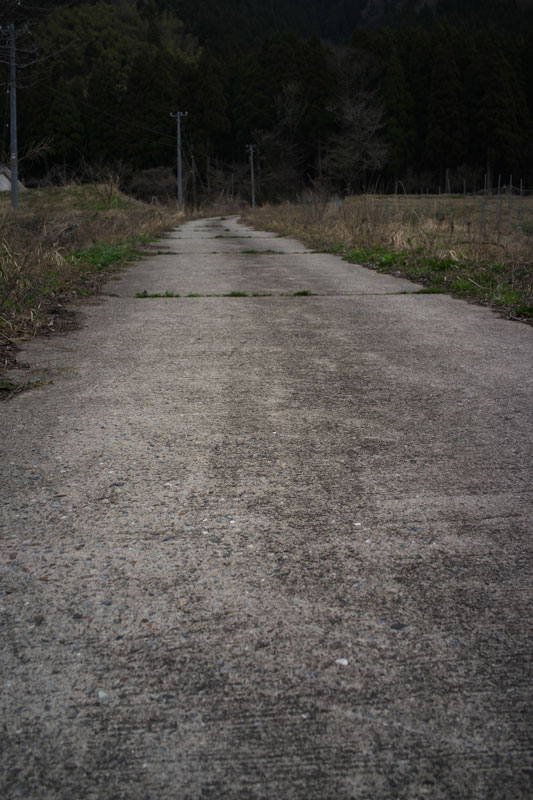 d0342652_1429589.jpg