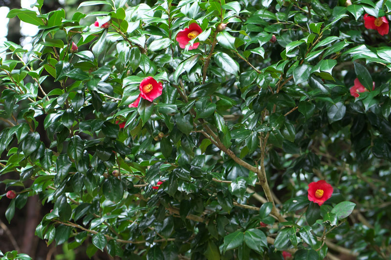 d0342652_18275510.jpg