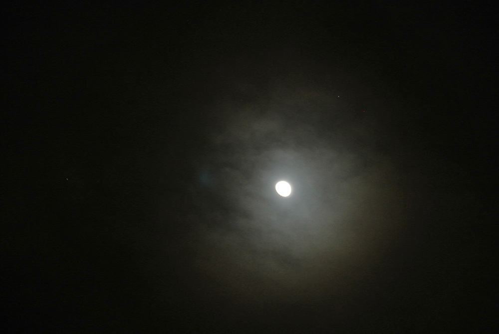 c0350853_19493999.jpg
