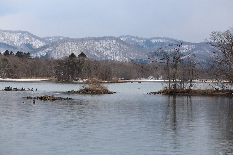 b0250154_20340495.jpg