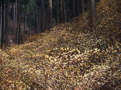 b0335256_16302499.jpg
