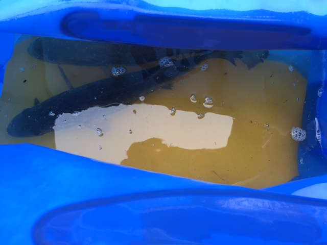 e0133656_21325539.jpg