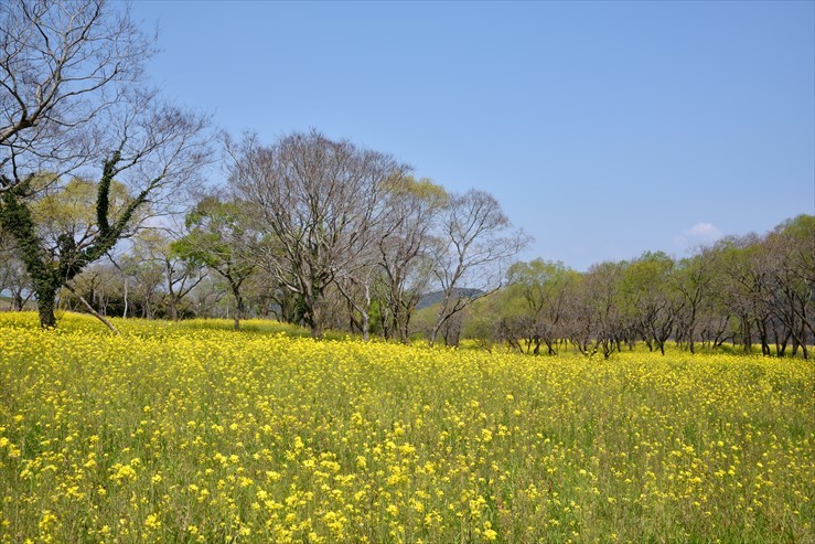 e0170058_12403588.jpg
