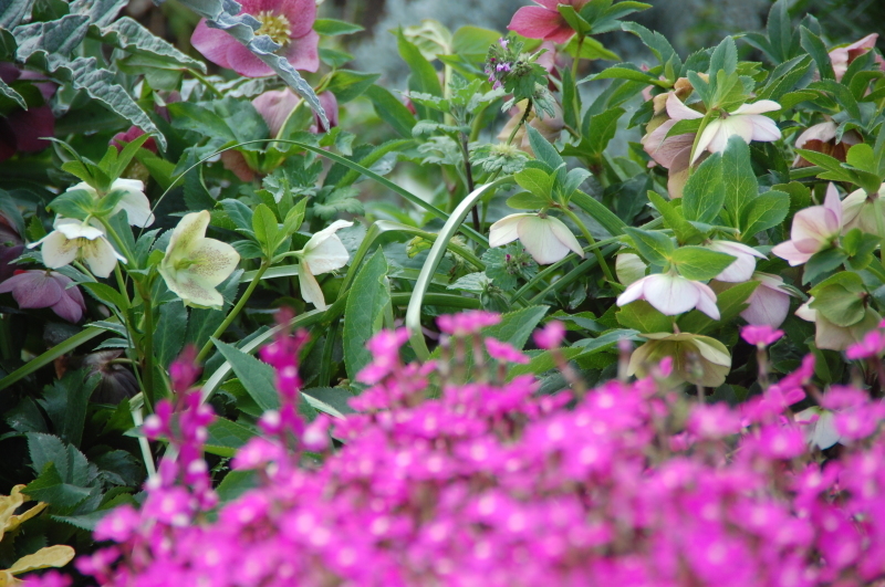 c0108460_20325429.jpg