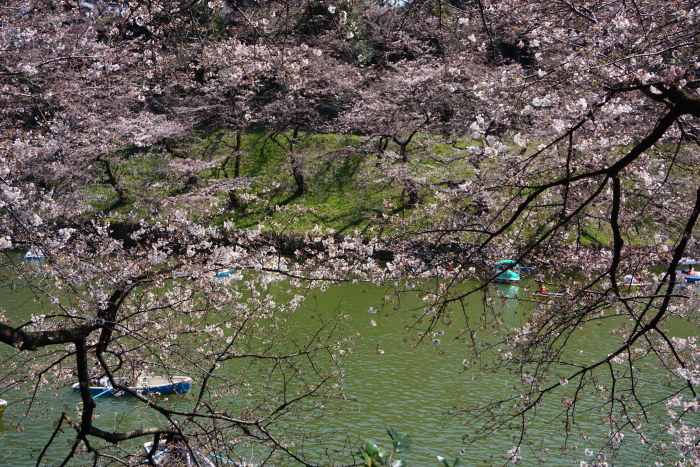 d0152261_18101163.jpg