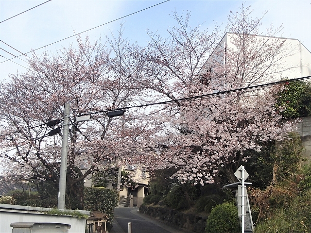 b0044663_00583685.jpg