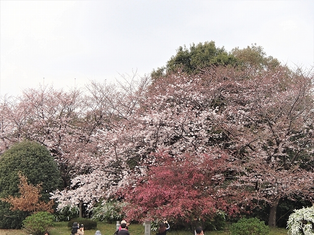 b0044663_01003507.jpg