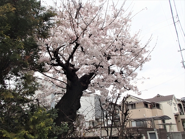 b0044663_01051936.jpg