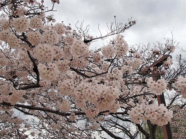 b0044663_01080759.jpg