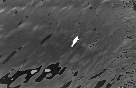 d0235865_00312439.jpg