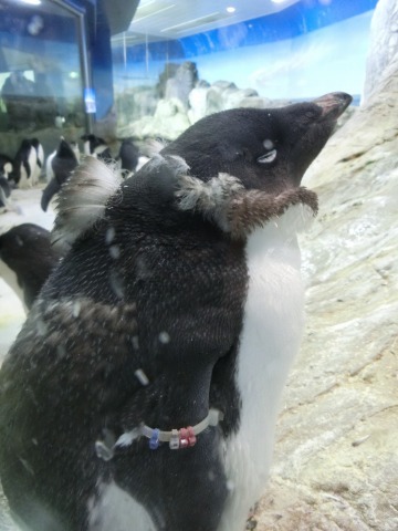 e0045768_22463739.jpg
