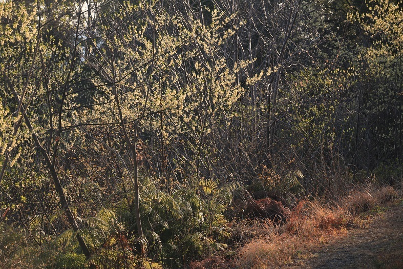 e0304170_19182447.jpg
