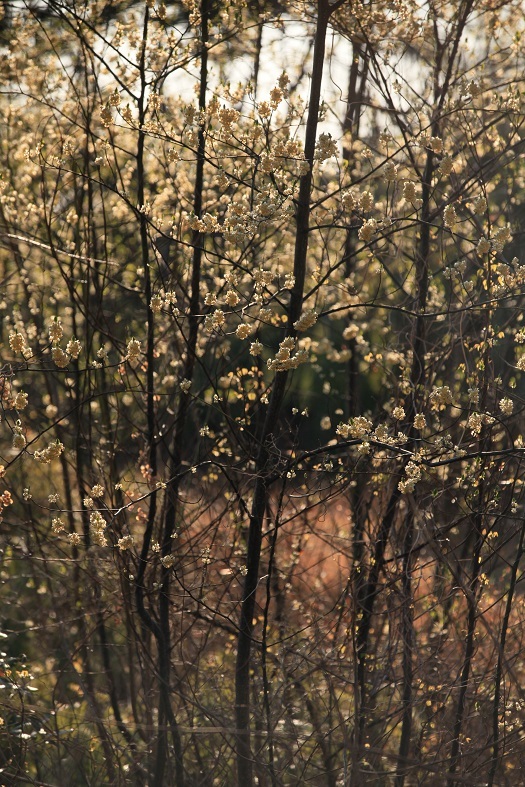 e0304170_19184903.jpg