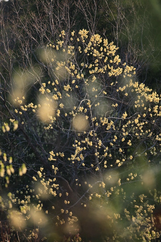 e0304170_19190192.jpg