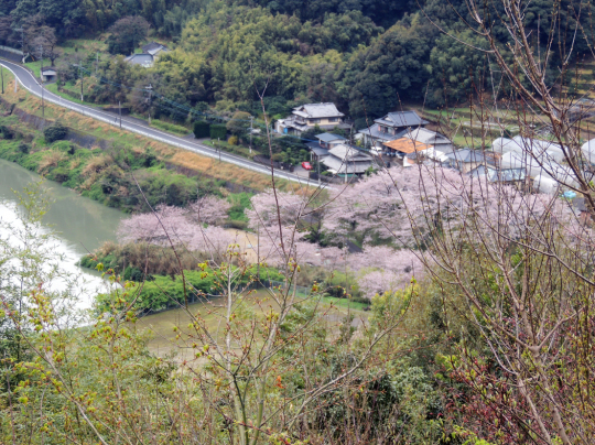 b0356972_21193100.jpg