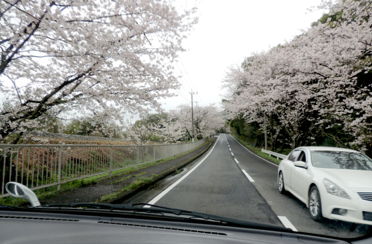 b0356972_21352878.jpg
