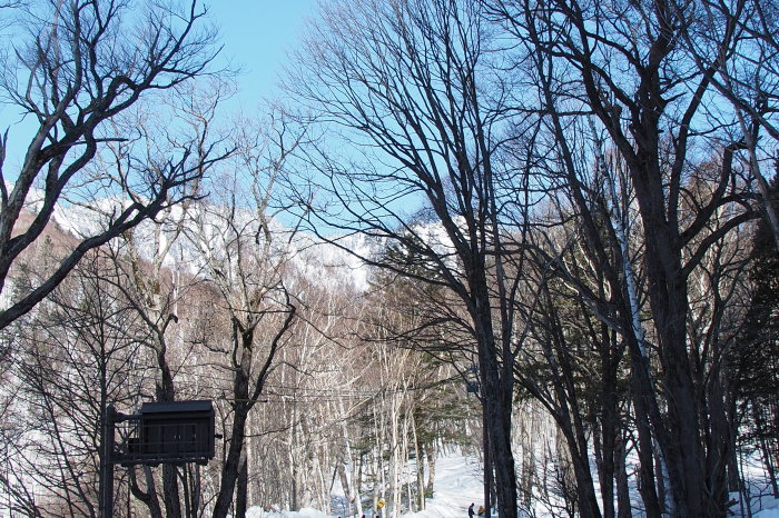 e0307372_12014546.jpg
