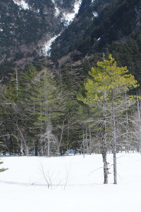 e0307372_16002397.jpg