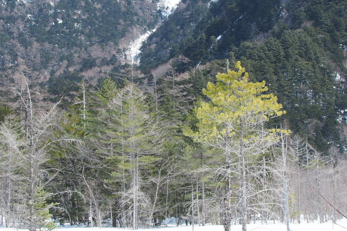 e0307372_16015610.jpg