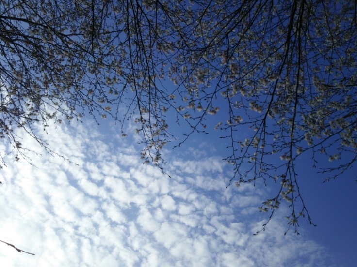 a0232573_08450971.jpg