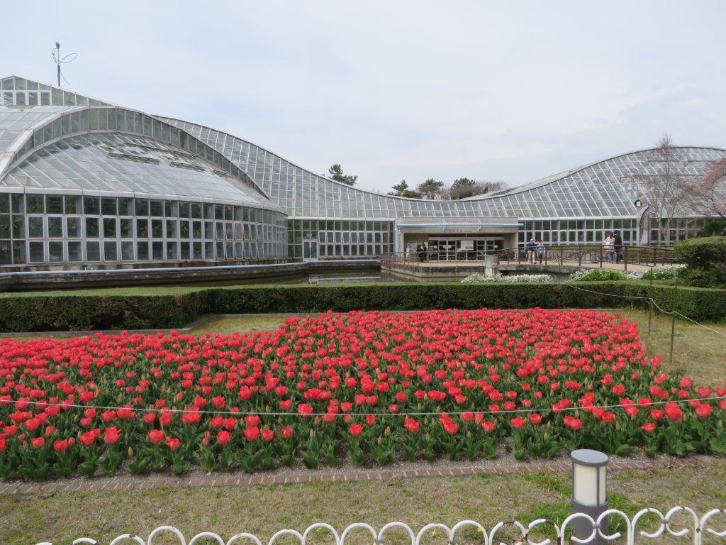 b0208876_1411270.jpg